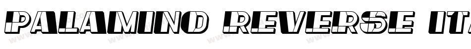 Palamino Reverse Italic字体转换